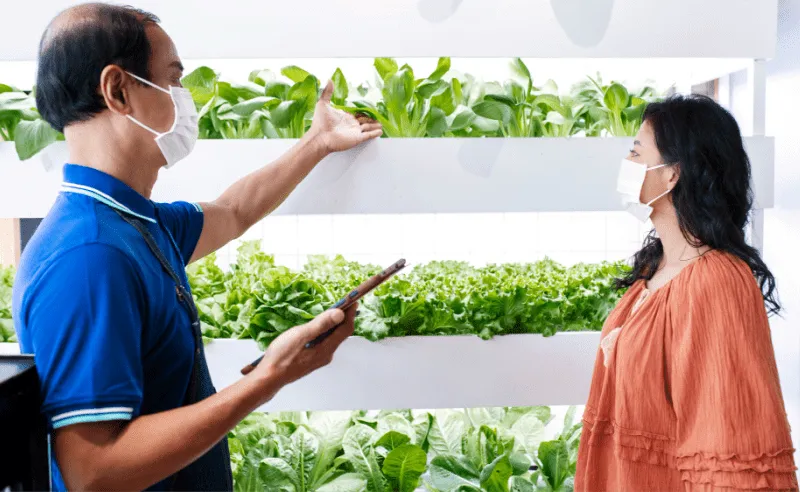 We Provide Expert Solutions